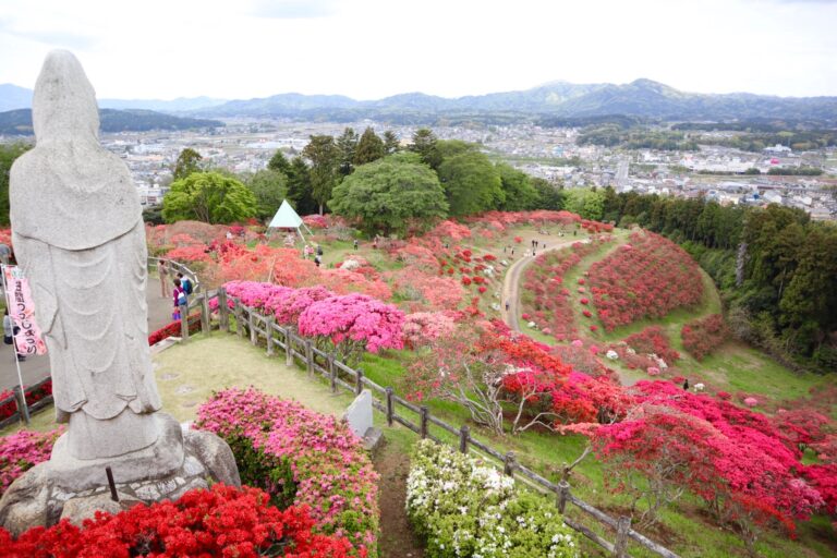 Kasama Azalea Festival