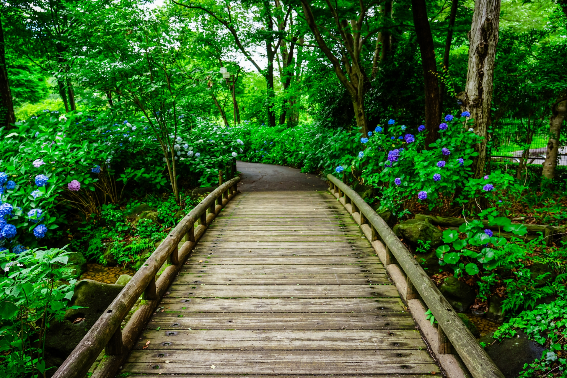 Musashino Woods Park