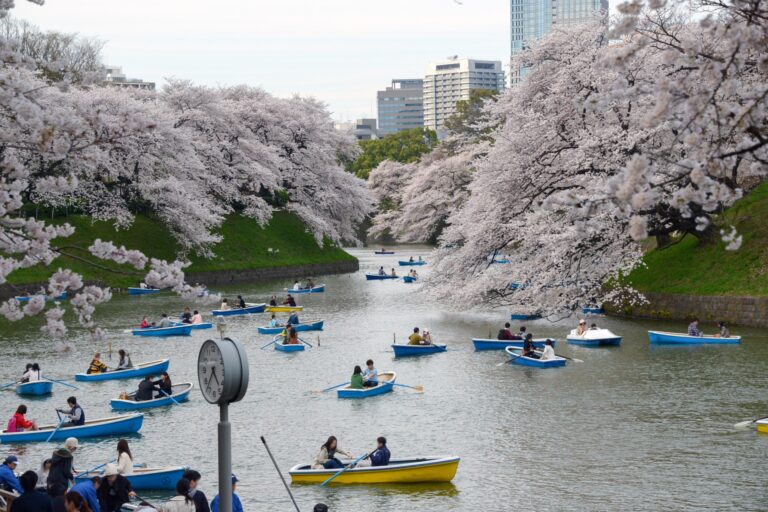 Chiyoda Cherry Blossom Festival 2025